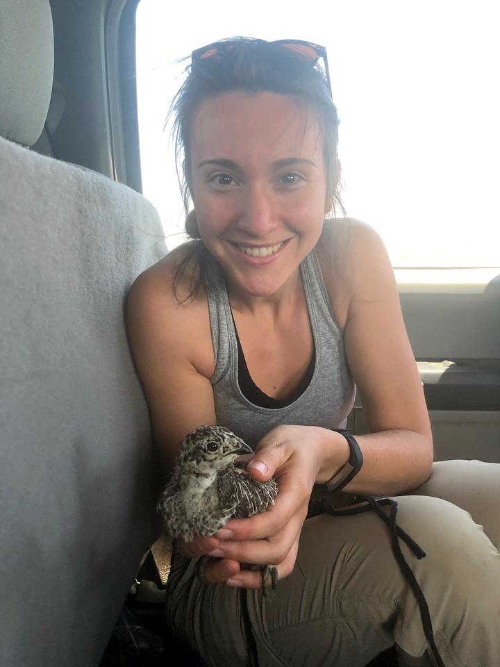 Simona holding a sage-grouse chick in 2020