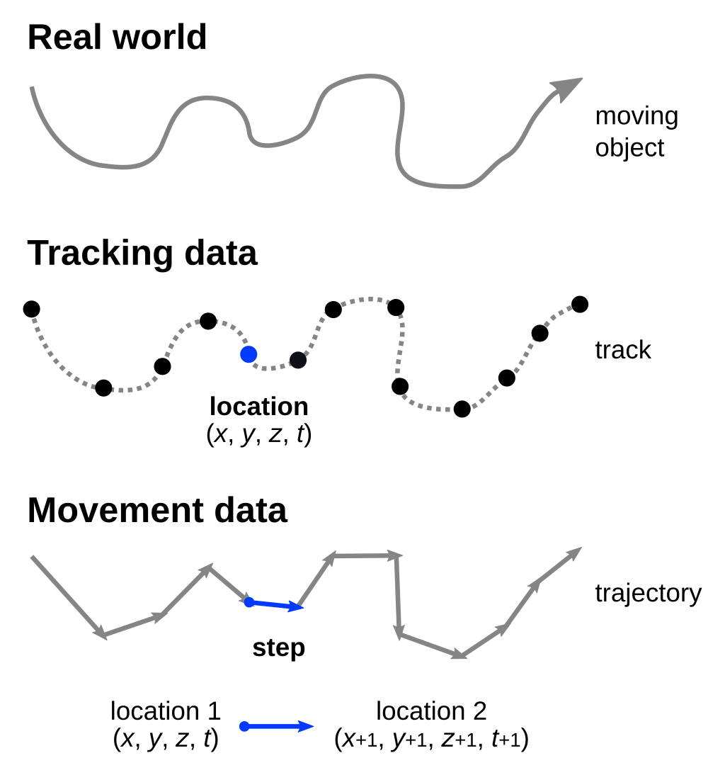 Definitions of movement.