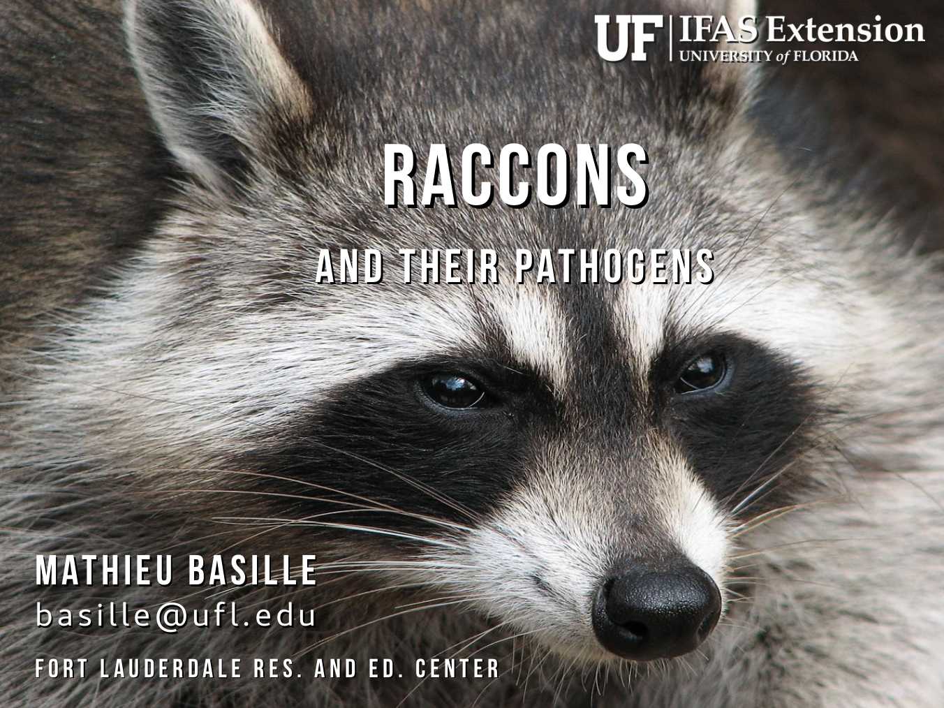 Raccoons and their pathogens.