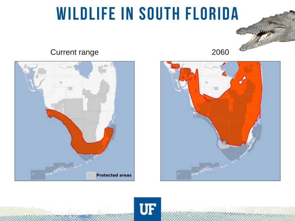 Endangered Species of Florida in the Face of Climate
Change.